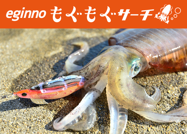 1681523659568887.jpeg p603_tokutyou_01.jpeg