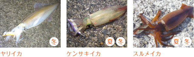 1681524681597376.jpeg p603_tokutyou_07.jpeg