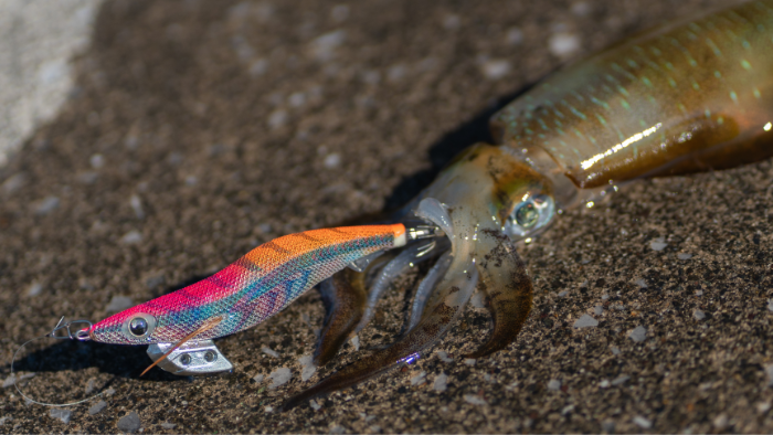 1685325752476105.png egiohk490_img03.png