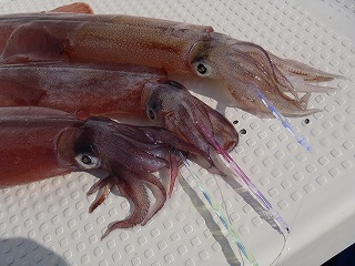 1686633182741770.jpg krh111bb_ika.jpg